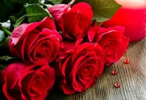 ROSE DAY खास : गुलाब के रंगों से ऐसे जुड़ते हैँ रिश्ते