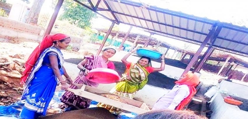 नवागांव बरगांव की महिला समूह बनी मिशाल, वर्मी खाद एवं प्याज उत्पादन कर कमाया रु 4.10 लाख                                   
